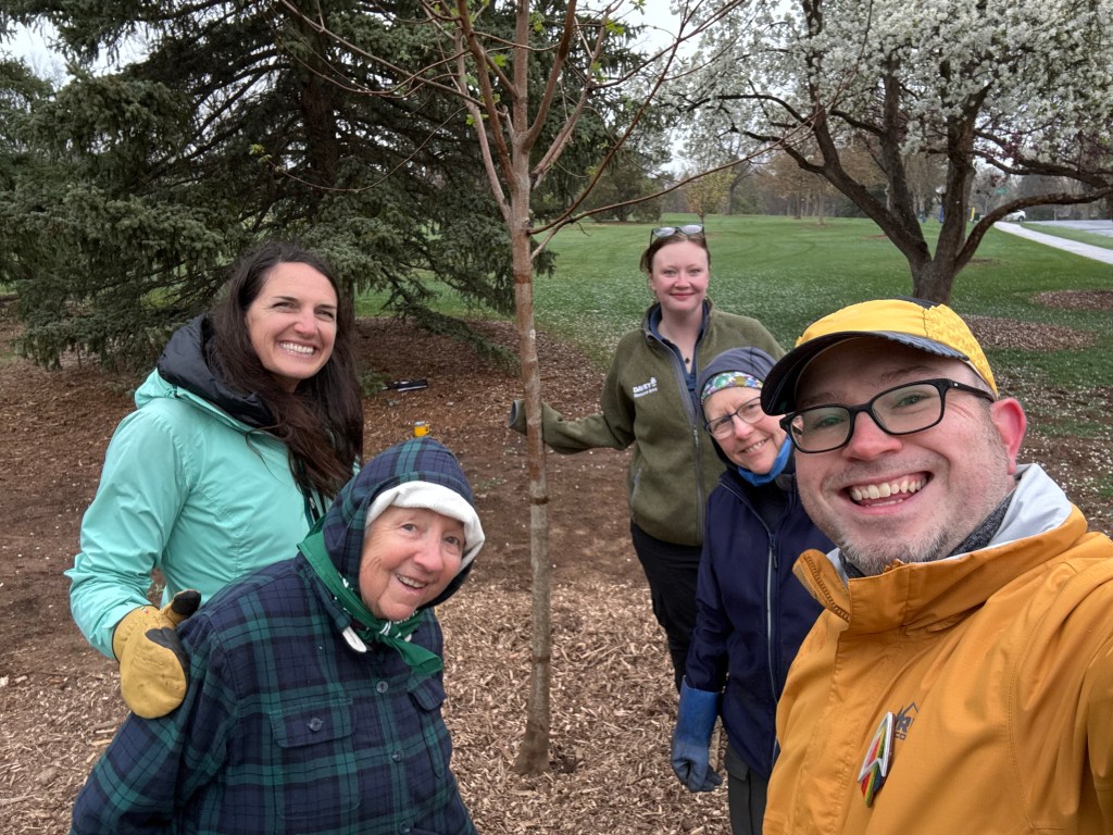 Tree #1 - planted in Fort Collins City Park on Arbor Day!