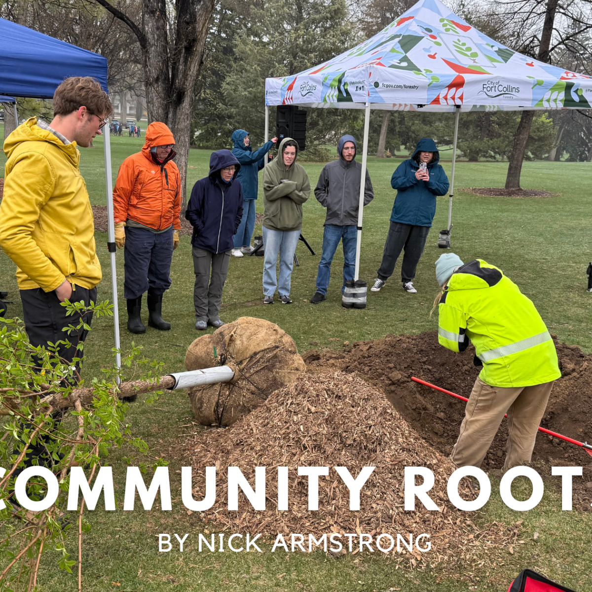 Community Roots